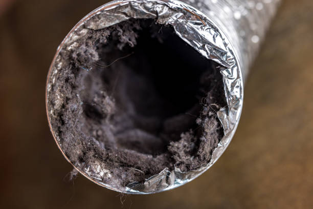 Best Affordable Duct Cleaning Services  in Parkland, FL